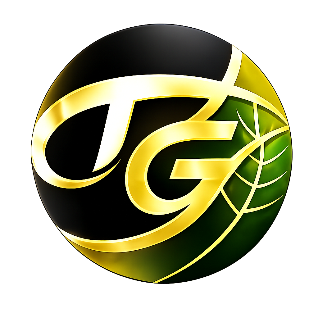 株式会社 T's guild